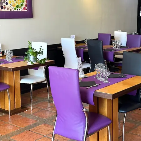 Otel Restaurant De France Castelnaudary