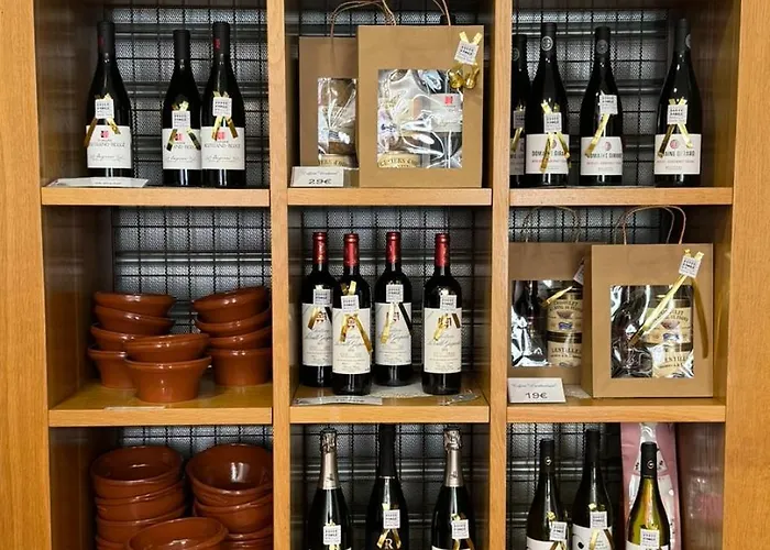 酒店 Restaurant De France