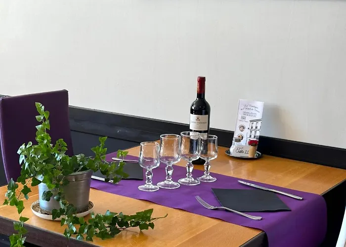 酒店 Restaurant De France 3*